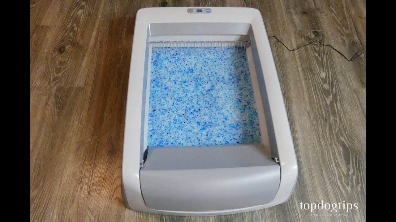 Petsafe Scoopfree Litter Box Review: Effective Self-Cleaning Litter Box