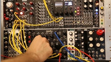 Endorphines Blck Noir and Beast Tek Amoeba Jam