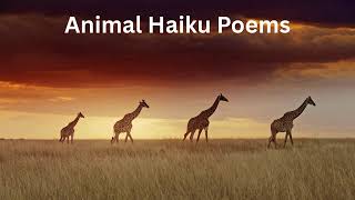 Animal Haiku Poems