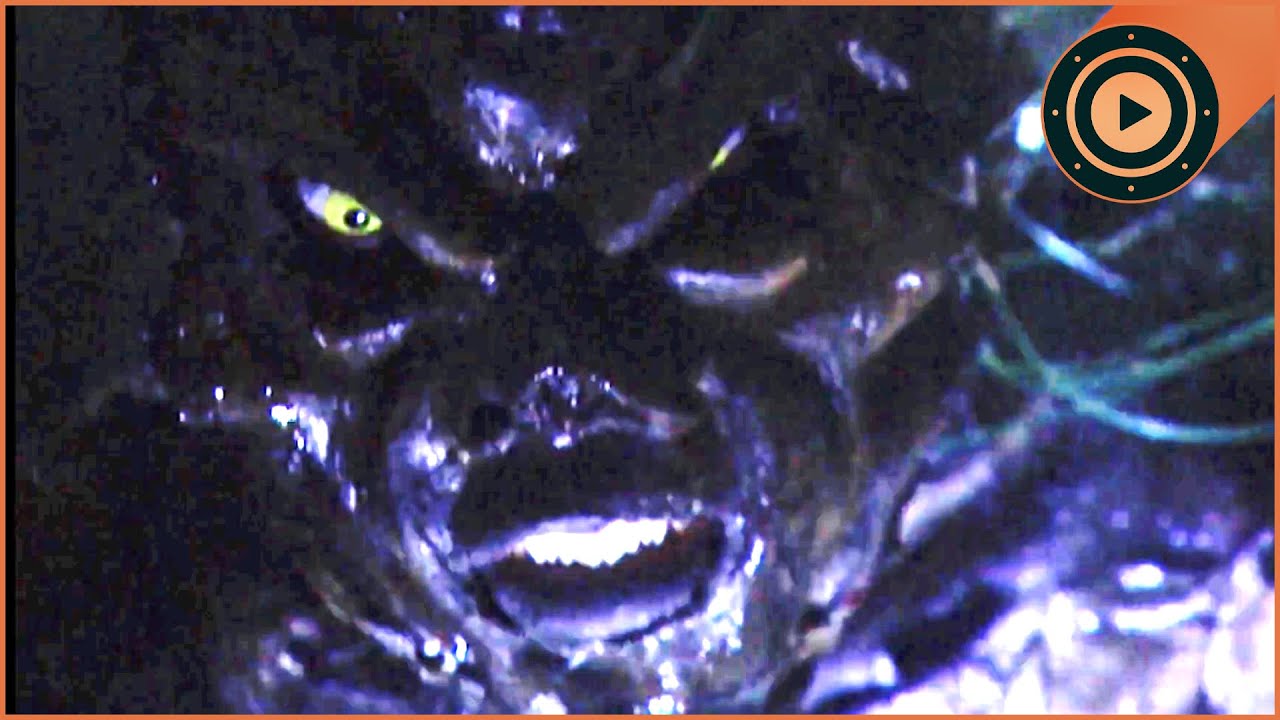 The Most Terrifying Native American Burial Ground Haunting In Michigan