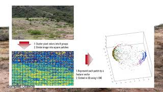 DesertReflections part 2: Data Manifolds in Nature | RL in Real Life