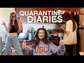 quarantine vlog 💌 learning how to live alone &amp; glow up