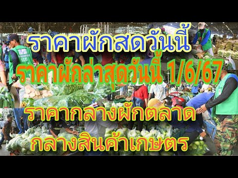 ราคาผักล่าสุดวันนี้ 1/6/2567