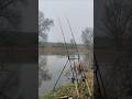 Feederangeln am Fluss bei Hochwasser und Minusgraden #feeder #fishing #feederfishing #riverfishing