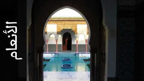 006 سورة الأنعام ياسر الدوسري   Surah Al An'aam Yasser Al Dosari