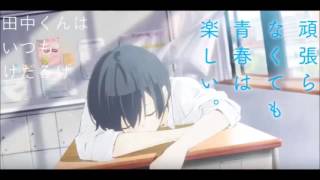 Video thumbnail of "Tanaka-Kun Wa Itsumo Kedaruge Opening : Utatane Sunshine (full version)"