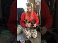 Het BEWIJS is GELEVERD. Dit voer van LEONARDO vinden de KITTENS zalig! #leonardo #kittens  #shorts