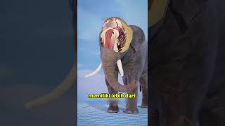 Kekuatan asli belalai gajah!