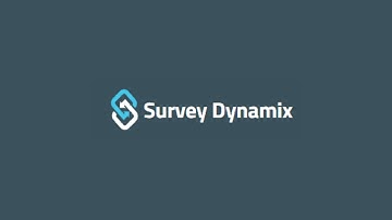 Survey Dynamix - Legendas em Português