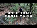 Altro fungo trail a monte mario  mtb bologna