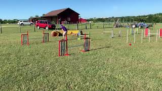 USDAA Event #109088 - Module 2