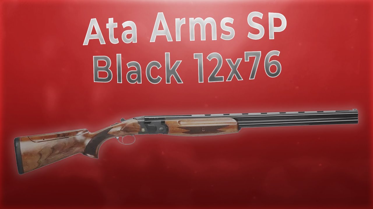 Ружье Ata Arms SP Black 12x76 L=610