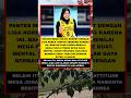 Ternyata, Ini Alasan Kenapa Megawati Hangestri Cocok Dengan Liga korea. #reels #fyp