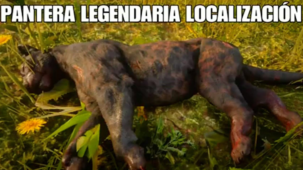 pantera legendaria donde y como cazar red dead redemption 2 rdr2 - YouTube