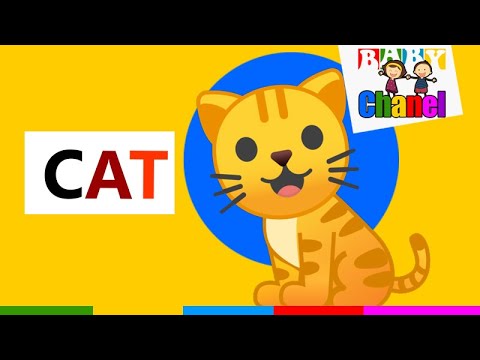 learn to read and spell with 3 letter sight words abc letter word