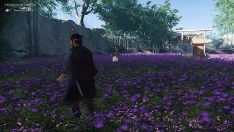 Ghost of Tsushima - Duel at Tadayori