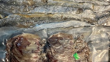 ComBo hải sản khô gồm: Mực khô, cá chỉ vàng , cá hố & cá trích