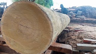 HOW TO MAKE IT AMAZING.  Meranti sawing process