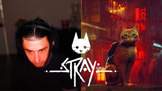 "THIS GAME IS ..." | Ronnie PLAYS 'Stray'