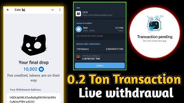 Cats 0.2 Ton Transaction for Non Custodial wallet || Cats Non Custodial Wallet Transaction Pending