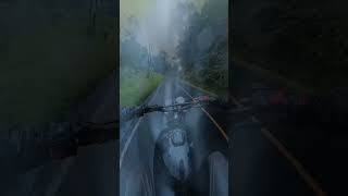 Byastral  You Can Ask The Flowers  slowed Reverb  S  Aesthetic  Slowed