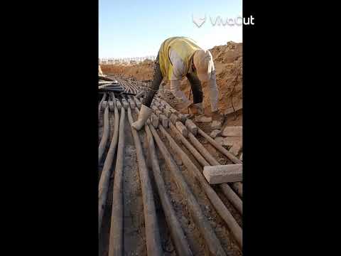 الشغل مش عيب بس العيب انك تستعر من شغلك