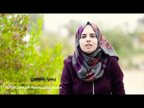 معاملات ما بعد الحصاد  