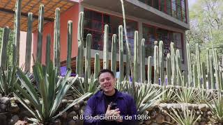 Museo Casa Estudio Diego Rivera y Frida Kahlo: la primera construcción funcionalista en México Museo Casa Estudio Diego Rivera y Frida Kahlo: la primera construcción funcionalista en México