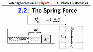 (AP Physics 1 + C Mechanics) 2.2: The Spring Force