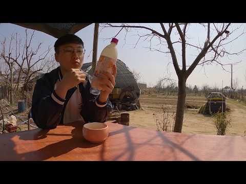 빠니보틀/근황/공지