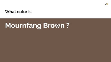 Mournfang Brown color #6f5749 hex color - Brown color - Cool color 6f5749