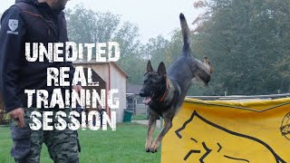 A training session with Gage