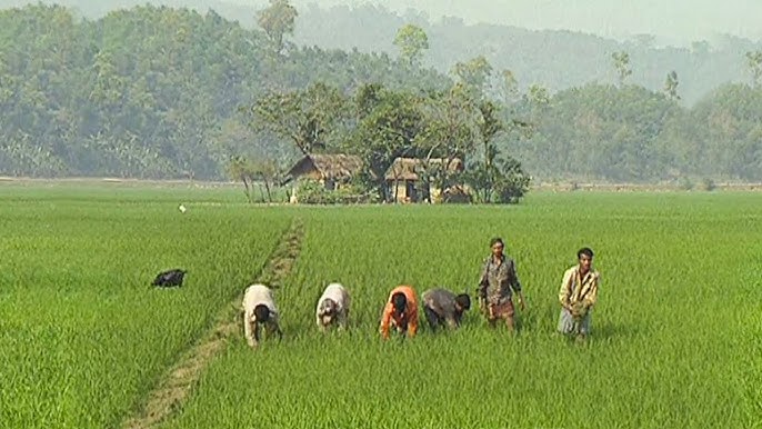 Hojatxonada uy qurilishi guruh porno Sankt-Peterburg porno ayollar