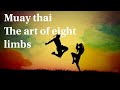 Muay thai  the art of eight limbs hindi