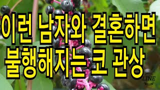 결혼하면 불행해지는 코 관상