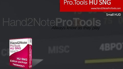 Hand2Note Pro.Tools HUSNG: Small HUD