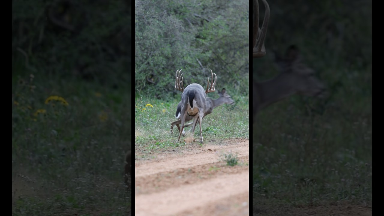 He’s a giant, but there’s just no pleasing her. 