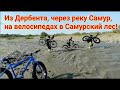 Выехали из Дербента, прошли через реку Самур. На велосипедах в Самурский лес ! 145 км в один день.