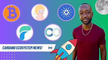 BITCOIN Breaks 30k! FLASH Loans & Wrapped BTC on Cardano, Growing Retail Adoption!