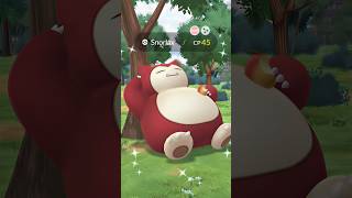 Found the LOWEST CP SHUNDO Snorlax in the Wild?!