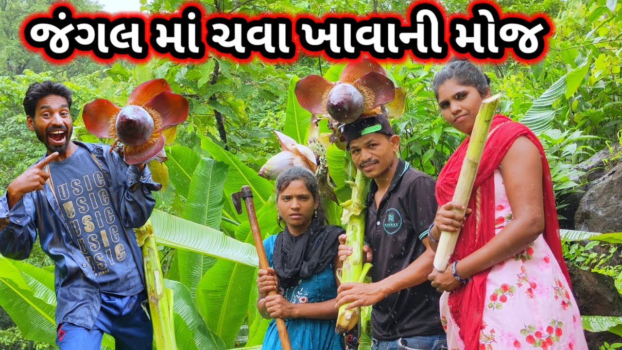 જંગલ માં ચવા ખાવાની મોજ jangal me chava khavani moj RT dangi comedy