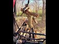 Why Is This So Addicting To Watch? 🌲🚛