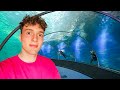 Une journe dans le plus grand aquarium deurope