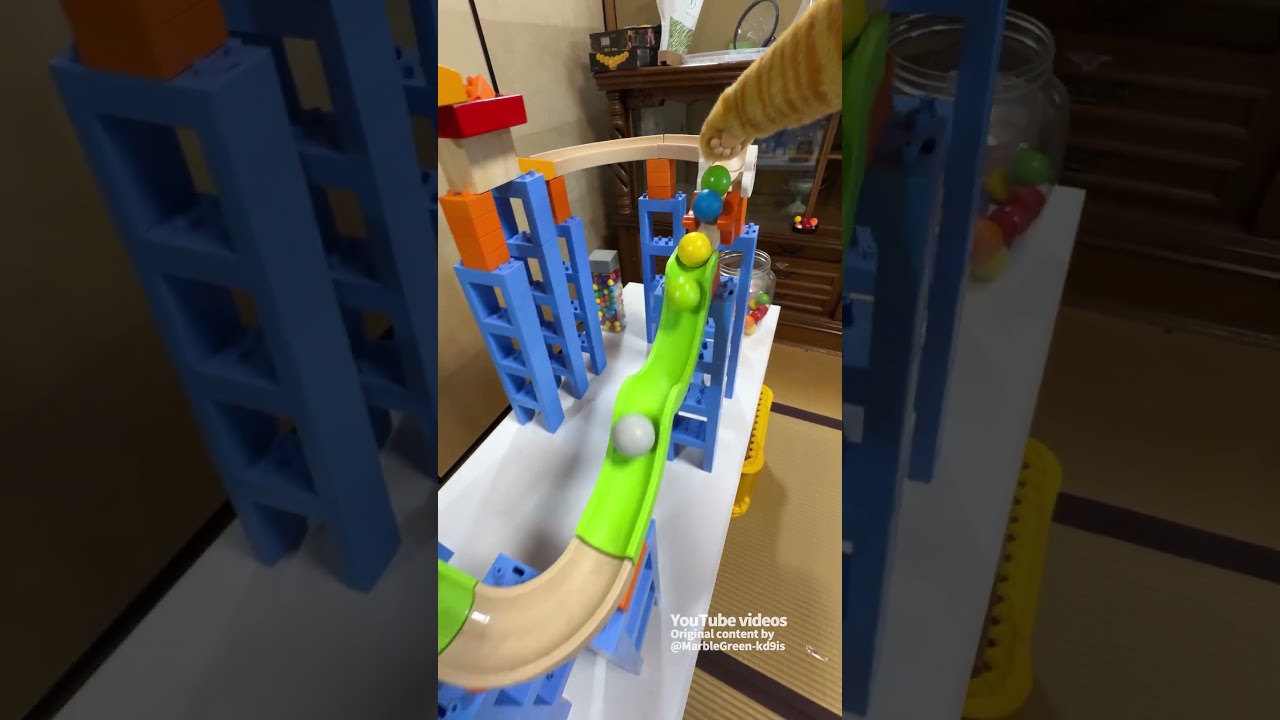 Marble Run and a Cat's Paw ☆ ASMR Video for Soothing and Laughter. Vol. 97