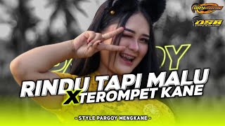 DJ RINDU TAPI MALU - AKU RINDU SERINDU RINDUNYA - VIRAL TIKTOK‼️ FULL BASS NGUK MELODY TERBARU 2024