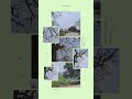 #update #fypシ #nature #fypシ゚viral #springhassprung #hilights #lifeisgoingon @highlight @everyone