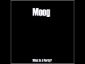 Moog - What Is A Party?