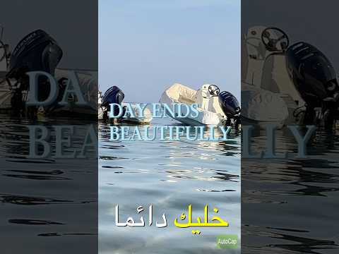 قال شكسبير أنا دائما سعيد تعرفون لماذا لأني لا أتوقع أي شئ من أي أحد التوقعات دائما موجعه