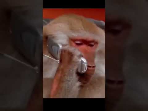 وجه ضاحك