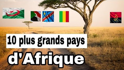 Quels Sont les Plus Grands Pays d'Afrique [par superficie]